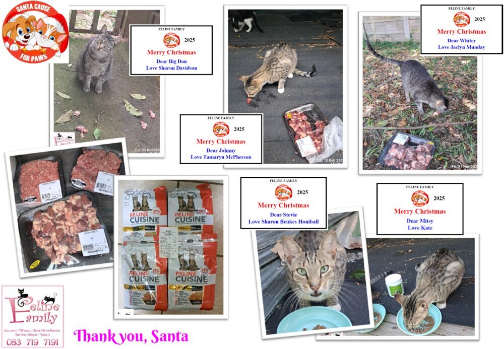 Feline Family 3